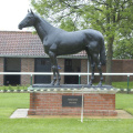 Escultura de cavalo de bronze de alta qualidade